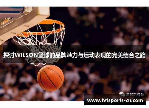 探讨WILSON篮球的品牌魅力与运动表现的完美结合之路