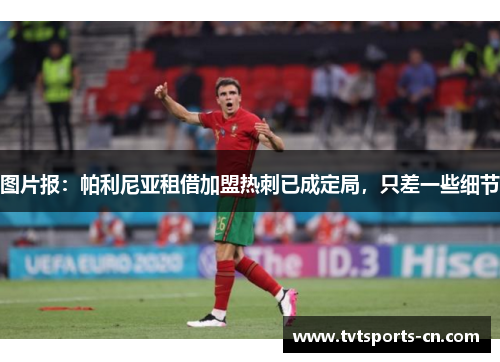 图片报：帕利尼亚租借加盟热刺已成定局，只差一些细节